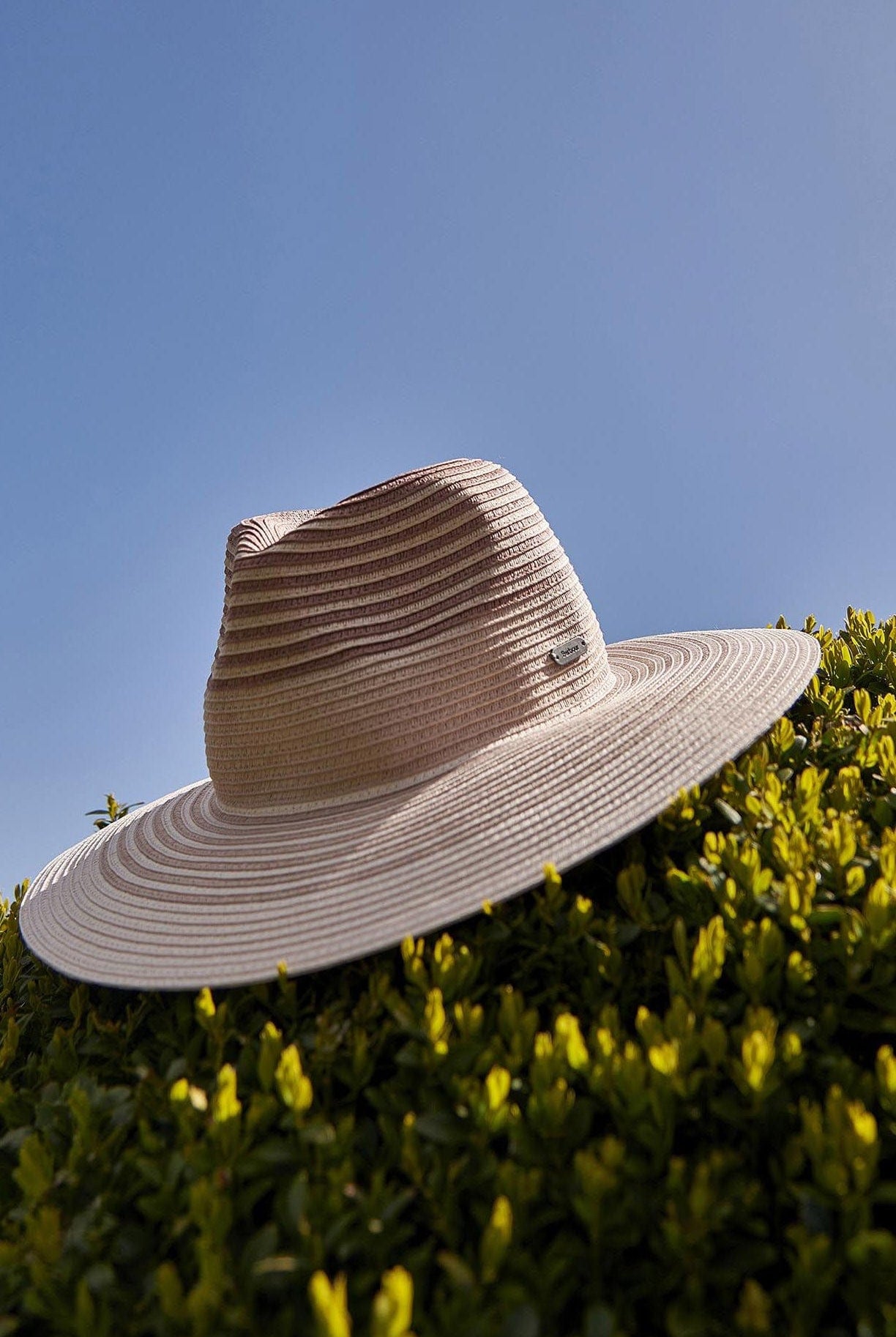 Barbour Adria Fedora - Primrose Pink