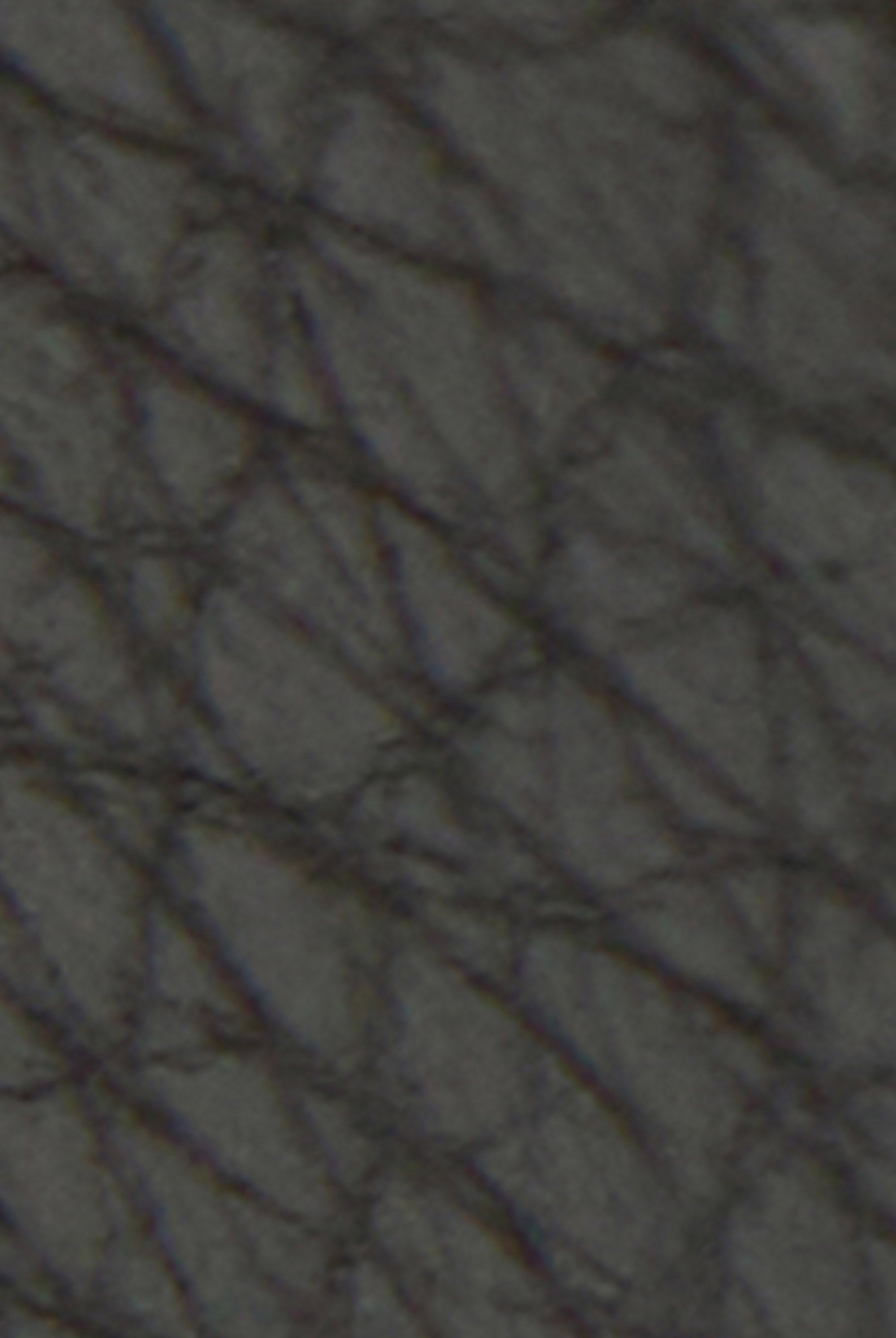 Barbour Rosa Leather French Purse - Black/Ancient LLG0036_BK11_OS