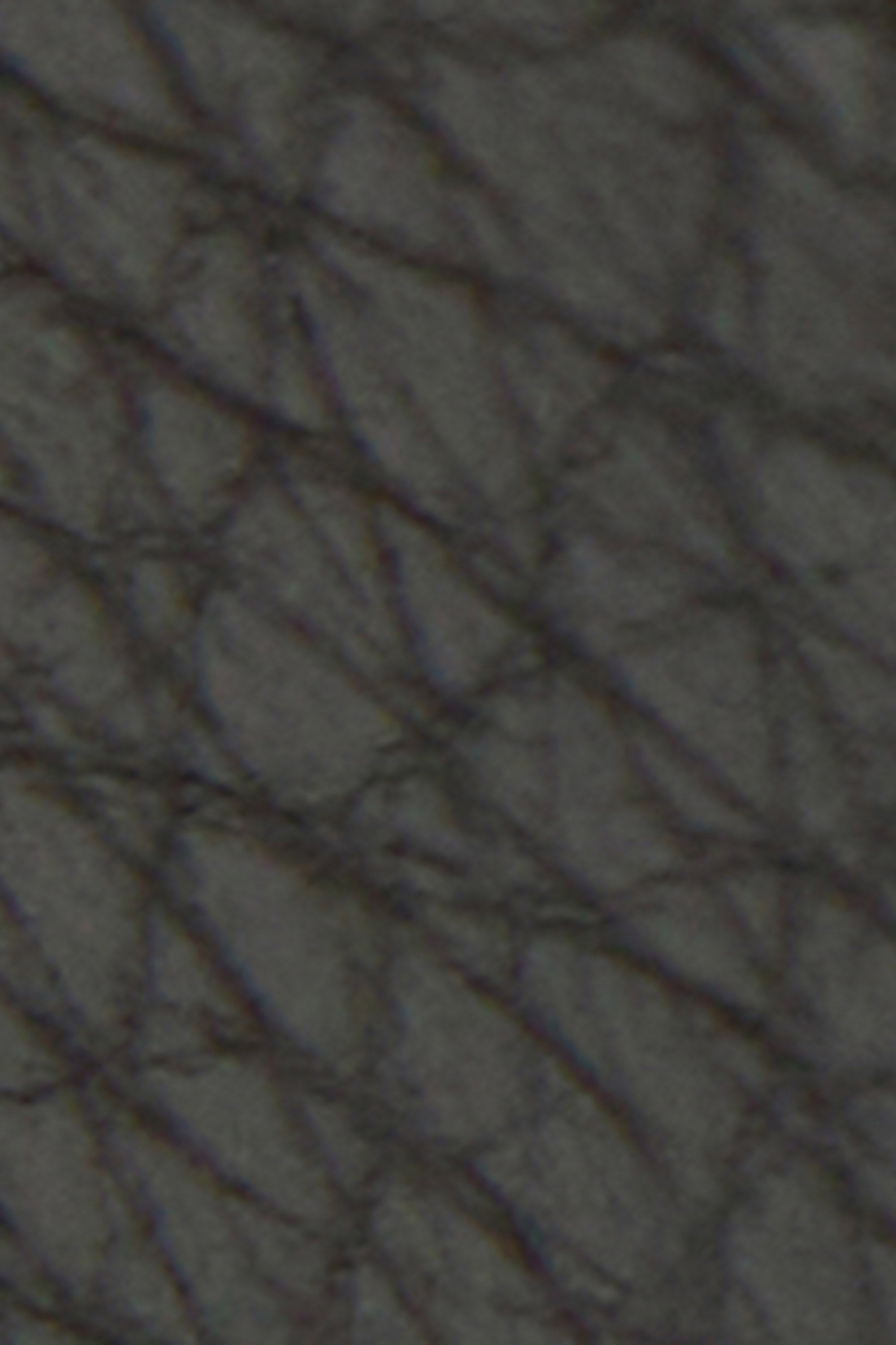 Barbour Rosa Leather French Purse - Black/Ancient LLG0036_BK11_OS