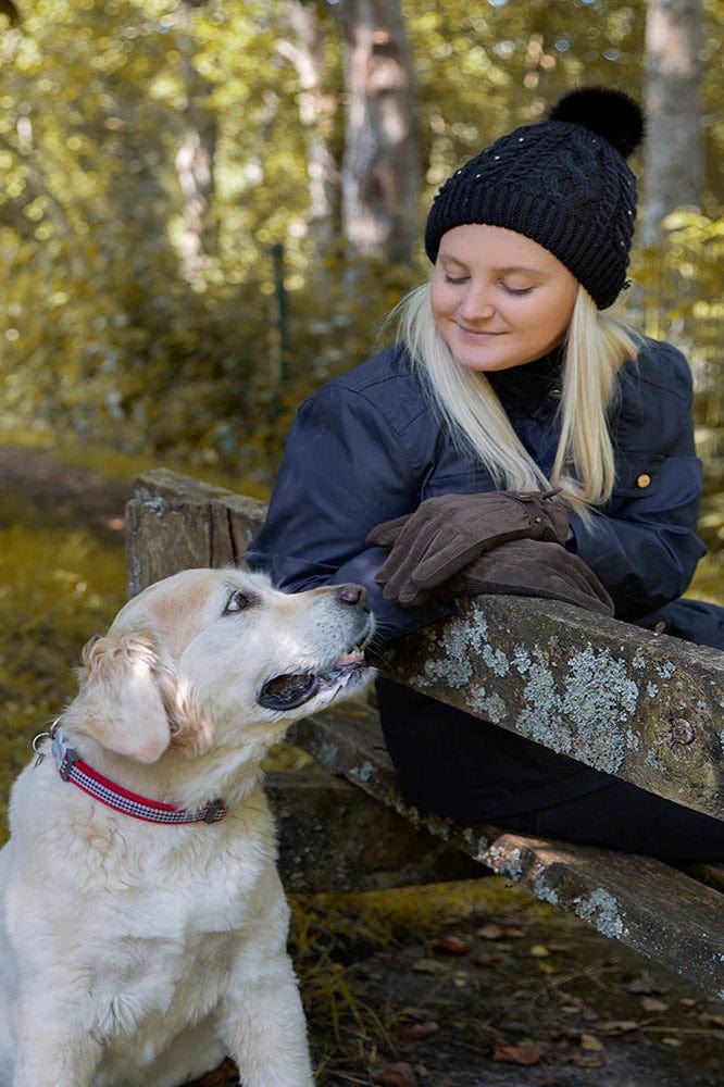 Dents Womens Water Resistant Touchscreen Fleece Lined Suede Gloves - Brown