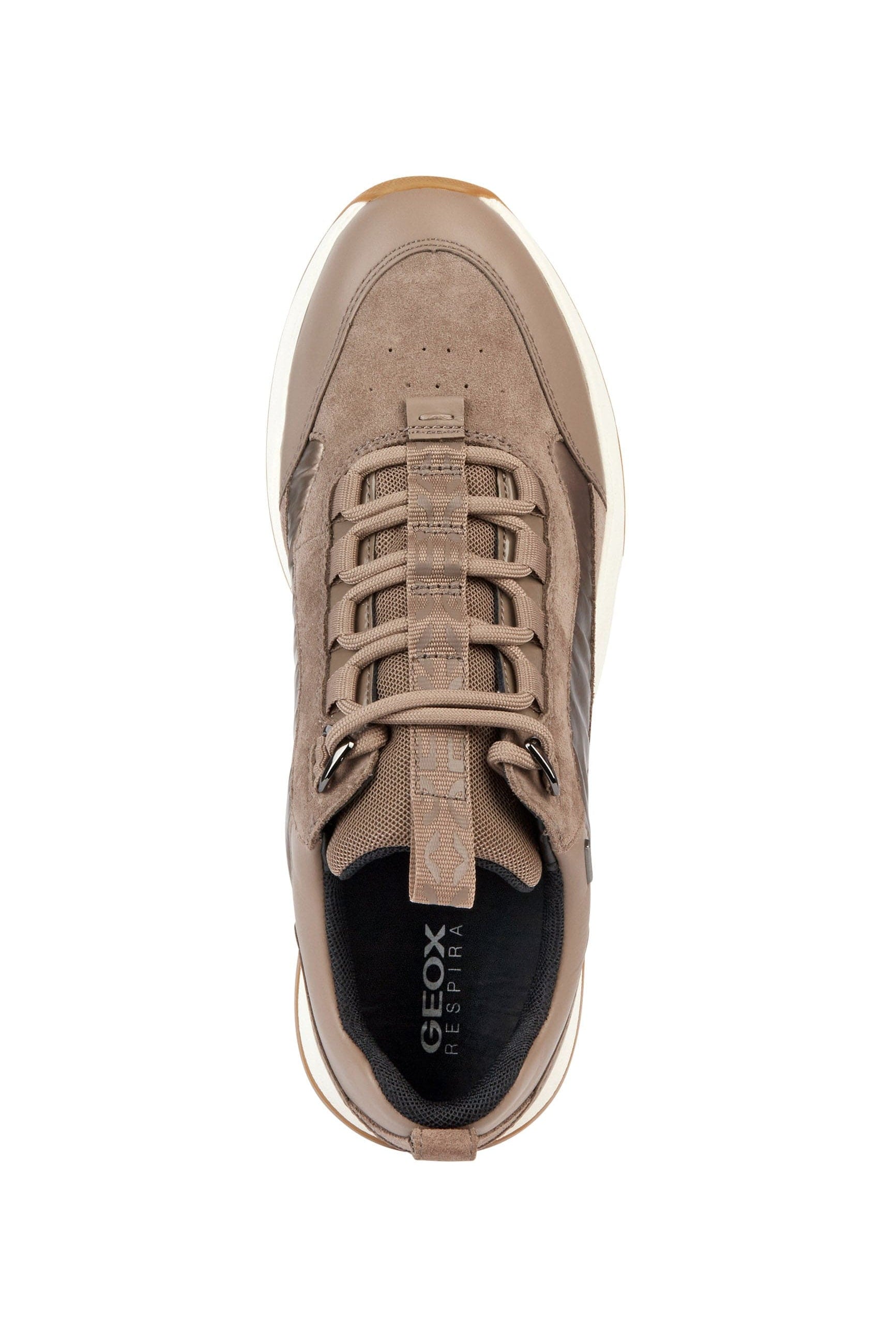 Geox Womens Falena ABX Nappa & Suede Trainers - Dark Taupe