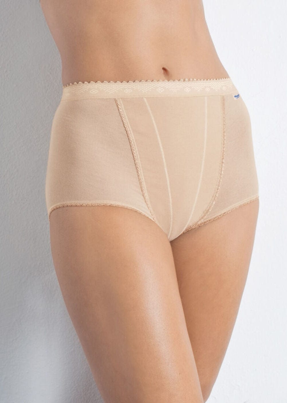 Sloggi Control Maxi Brief 2 Pack - Skin