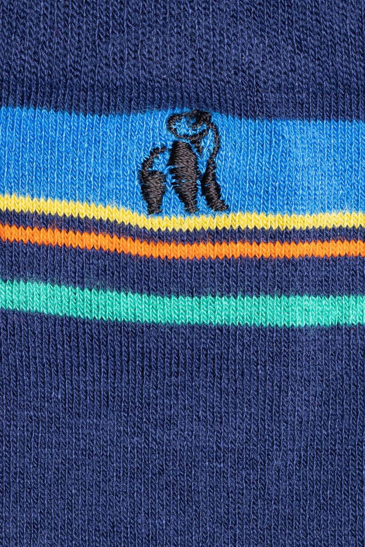 Swole Panda Multi Stripe Bamboo Socks - Royal Blue SP456_STRIPE_7-11