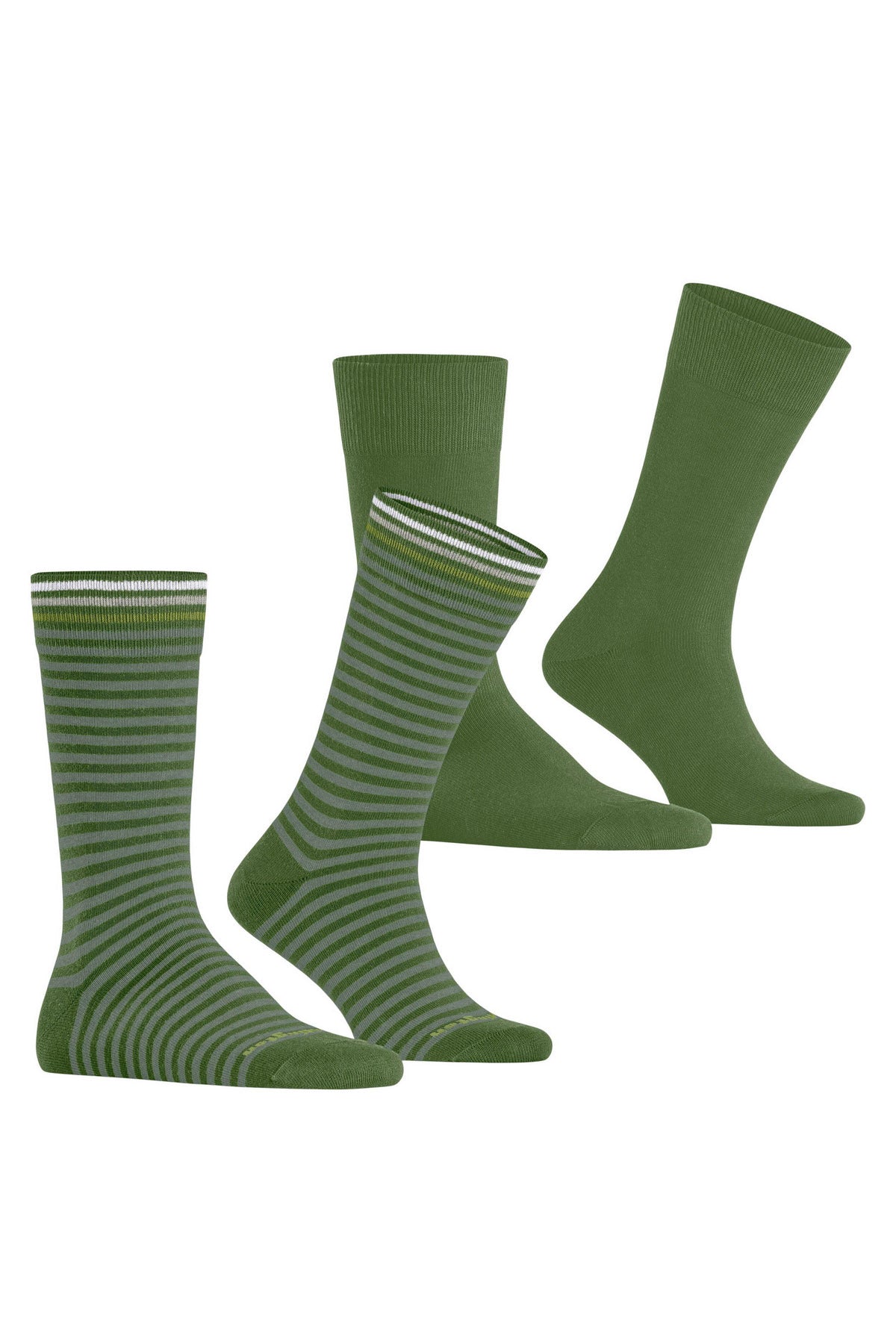 Burlington Everyday Stripe/Plain 2 Pack Socks - Fir Green 21087_7656_6.5-11 UK