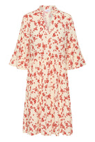 Saint Tropez Eda Printed Dress - Seedpearl Valiant Daisy