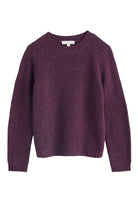 Seasalt Dawson Pick Merino Wool Blend Jumper - Grape  B-WM38389_37128_18