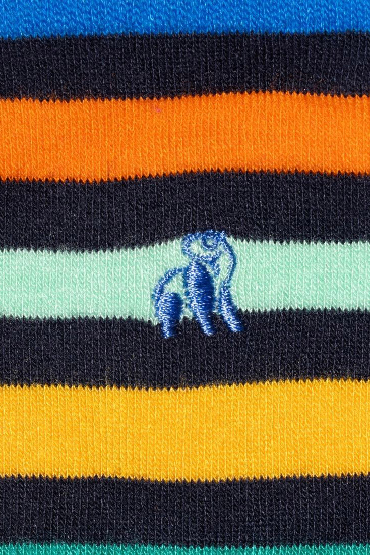 Swole Panda Gradient Stripe Bamboo Socks - Multi SP494_GRASTRIPE_7-11