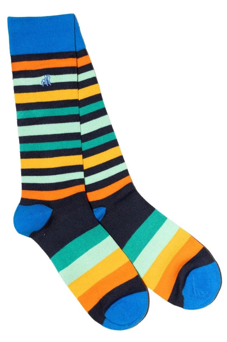 Swole Panda Gradient Stripe Bamboo Socks - Multi SP494_GRASTRIPE_7-11