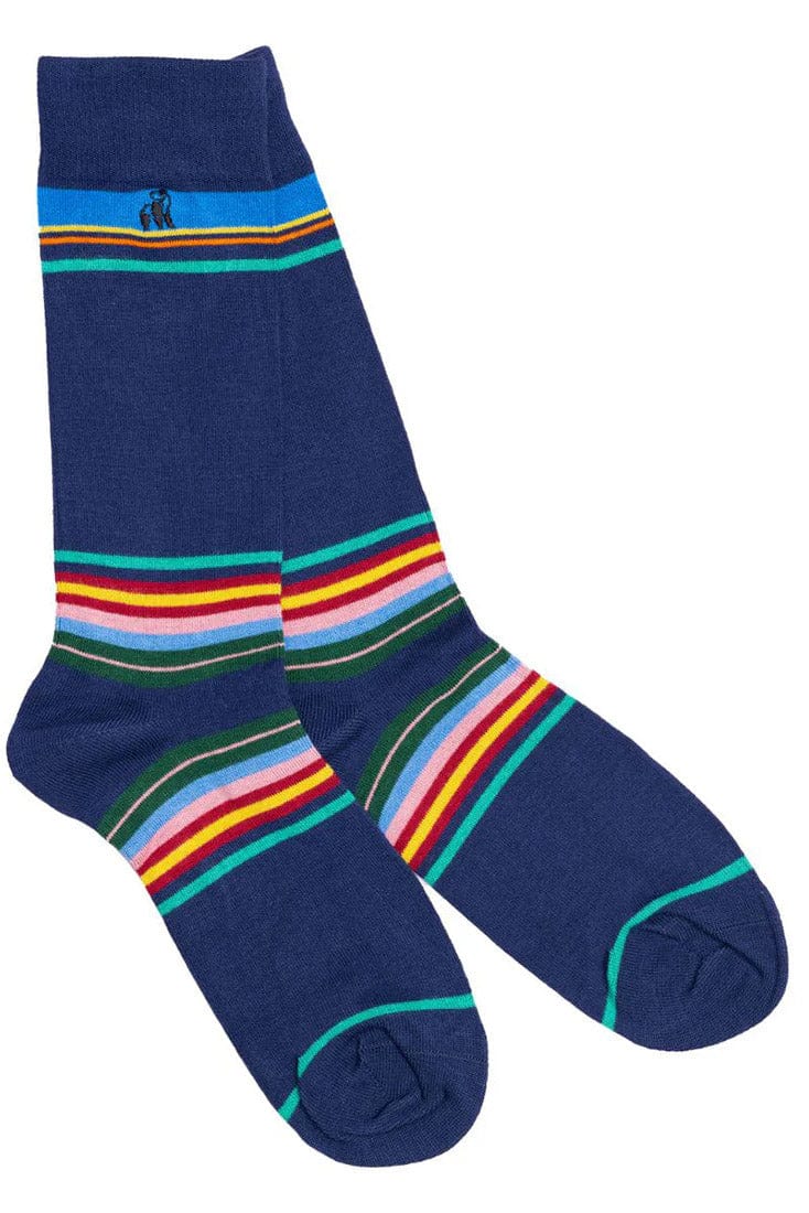 Swole Panda Multi Stripe Bamboo Socks - Royal Blue SP456_STRIPE_7-11
